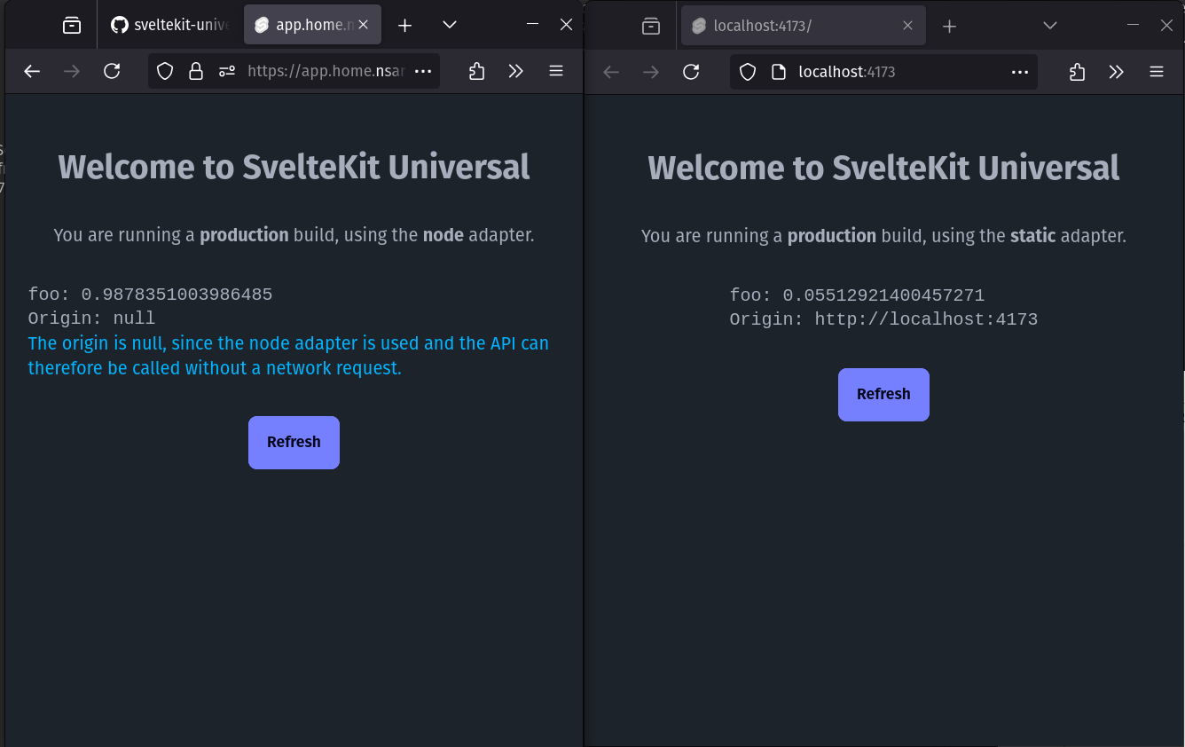 Screenshot of the demo app showing two pages, one with `adapter:node` and the other with `adapter:static` showing a similar result